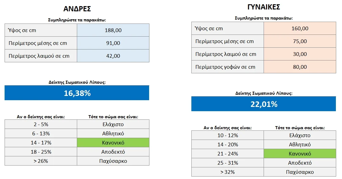 Δωρεάν Excel: Εργαλείο υπολογισμού σωματικού λίπους! | Εικόνα εφαρμογής